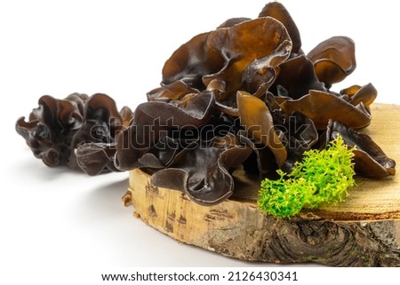 Muer mushrooms on wooden cross section isolated on white background. Jew`s ear mushrooms studio shot. Edible dark fungus - auricularia polytricha, also known as cloud ear, black mushroom, jelly fungus