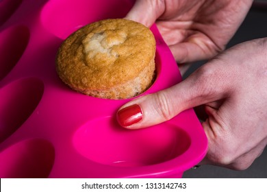 Muffins In Silicone Cup Baking Cupcakes