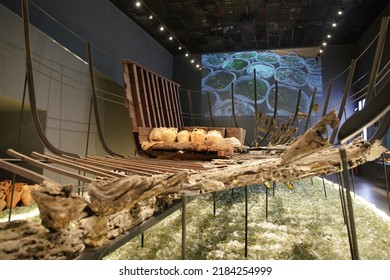 MUGLA, TURKEY - APRIL 15, 2022: Reconstructed Ancient Shipwreck In Museum Of Underwater Archaeology