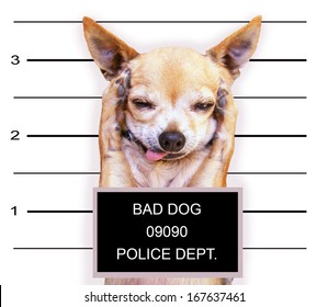 148 Bad dog mug shot Images, Stock Photos & Vectors | Shutterstock