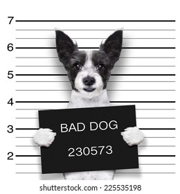 Mugshot Dog Holding A Black Banner Or Placard