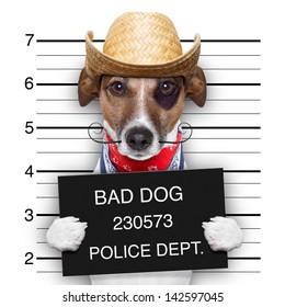 Mugshot Of A Mexican Very Bad Dog