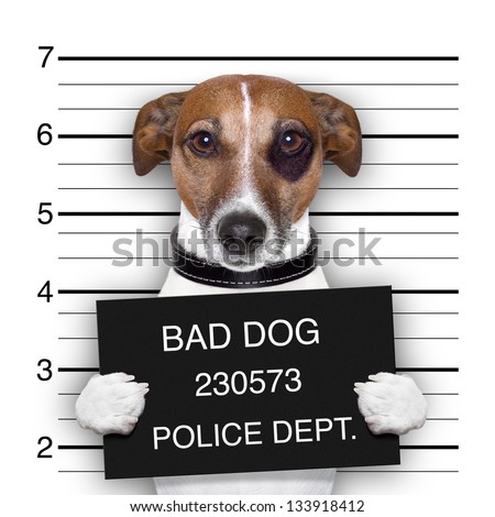 mugshot of  wanted dog holding a banner