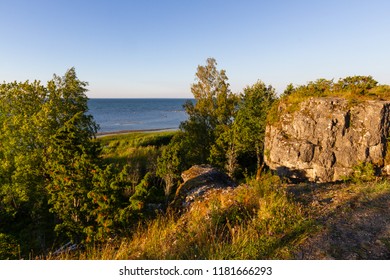 Muhu Island Coastline