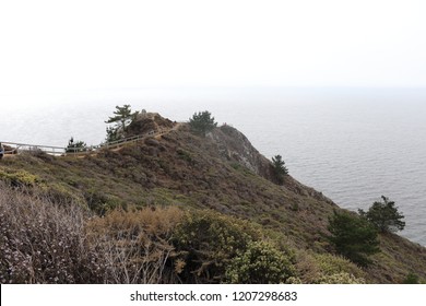 Muir Beach Overlook