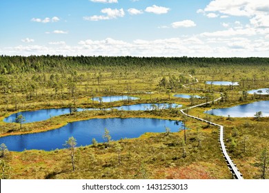 Mukri Bog Nature Trail, Estonia. A Boardwalk Leads The Way Through The Bog.