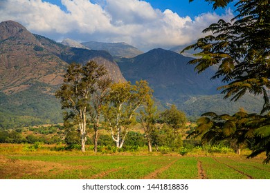 57 Mulanje Massif Images, Stock Photos & Vectors 