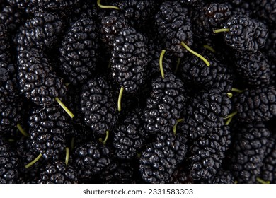 Mulberry in a bowl. Blackberry harvest in summer. Fruit black food background. Green branch with mulberry leaves. Leaf on table.