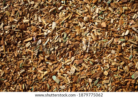 Mulch made of wood bark. Mulching is an agrotechnical way of covering the soil with a layer of organic or inorganic material.