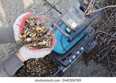 Mulch is a product of processing branches after pruning garden trees, close-up in a handful from a person. Conceptually ecology, respect for nature, organic farming