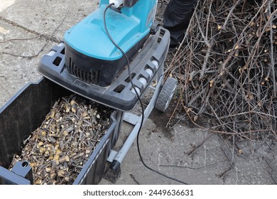 Mulch is a product of processing branches after pruning garden trees, close-up in a shredder container. Conceptually ecology, respect for nature, organic farming