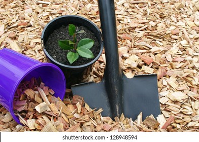 Mulch Shovel And Potted Plant