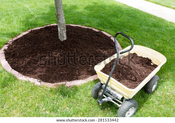 Mulch Work Around Trees Growing Backyard Stock Photo Edit Now 281533442