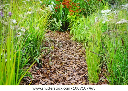 Mulched Backyard Garden Or Park Path Boarded By Grass And Flowers At Summertime