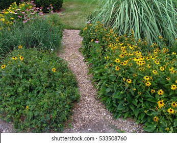 Mulched garden path bordered by yellow black-eyed-susans and pink cone-flower - Shutterstock ID 533508760