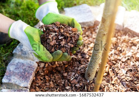 mulching flowerbed with pine tree bark mulch