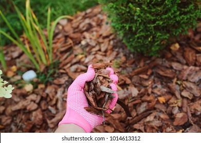 Mulching Garden Beds With Pine Bark Pieces