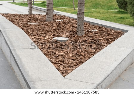 Mulching of tree trunk with bark for park design. Decorative piece mulch strewning on flowerbed. Wood chips natural pine brown colored for lawns. Organic environment product in landscaping.