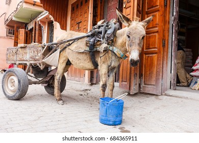 Mule Cart In Front Of Traditional Buildings In The Medina Of Marrakech.