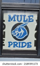 Mule Pride school mascot sign