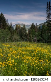 Mules Ear, Big Cottonwood Canyon, Utah