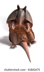 Mulita, Armadillo Of Six Bands, On To White Background.