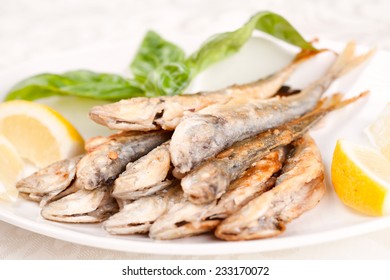Mullet Fish Stock Photo 233170072 | Shutterstock