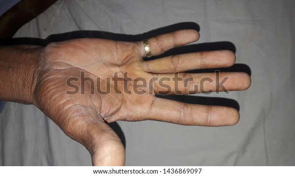 3d hand model by pakistan