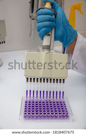 Multi channel pipette loading biological samples in microplate for test in the laboratory / Multichannel pipette load samples in pcr microplate with 96 wells.