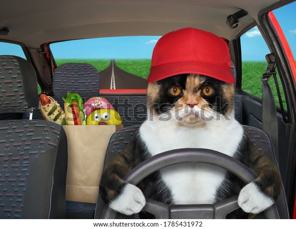 The multi colored cat\
in a cap is driving a red car on the highway. A paper bag with food\
is next to him.