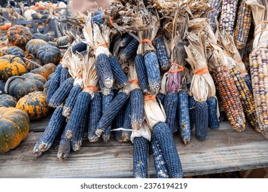 Multi colored corn cobs at a farm market . Close up of decorative corn. - Powered by Shutterstock