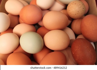 Multi Colored Farm Fresh Eggs