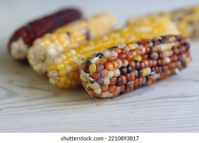 Multi Colored Indian Corn Made For Thanksgiving Decoration.  Southwestern Harvest Corn On White Wooden Table. Light Background. Side View. Close-up. Copy Space. Bokeh Effect