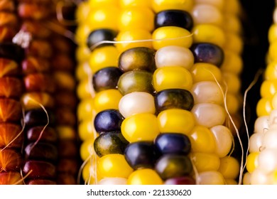Multi colored indian corn made for Thanksgiving decoration.