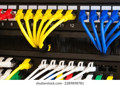 Multi Colored Network Cables Connected to Switch, network  technology concept