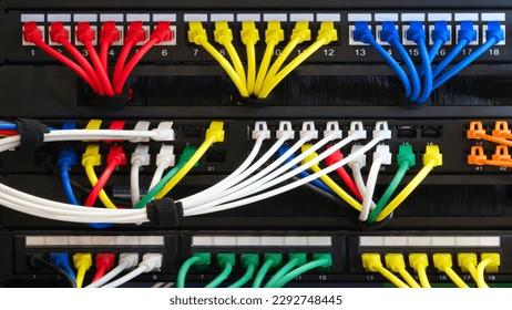 Multi Colored Network Cables Connected to Switch, network  technology concept