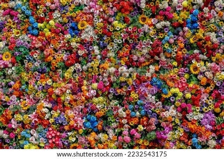 Multi colour of artificial flowers on backdrop with selective focus, Mixed colourful pattern texture of flora, Can be used as background for display or montage products, Abstract nature background.