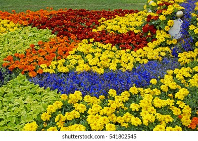 3,132 Marigold border Images, Stock Photos & Vectors | Shutterstock