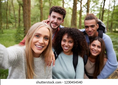 Multi ethnic group of five young adult friends taking a selfie in a forest during a hike, portrait