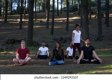 Multi ethnic group on yoga meditation class following teacher instructions in pine trees forest park. Young woman guiding students on mindfulness exercise. Self connection in nature concept - Powered by Shutterstock