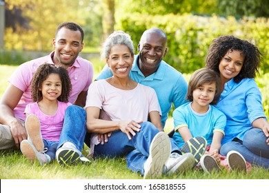 Multi Generation African American Family Sitting In Garden