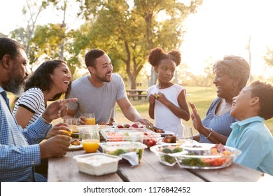 Multi Generation Family Enjoying Picnic In Park Together - Powered by Shutterstock