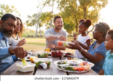 Multi Generation Family Enjoying Picnic In Park Together - Powered by Shutterstock