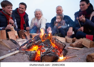 Multi Generation Family Having Barbecue On Winter Beach