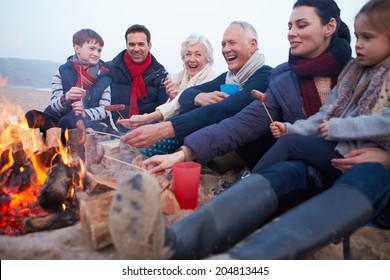 Multi Generation Family Having Barbecue On Winter Beach