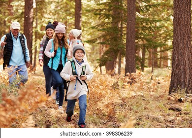 Multi generation family hiking in a forest, California, USA