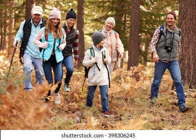 Multi Generation Family Hiking In A Forest, California, USA