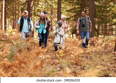 Multi Generation Family Hiking In A Forest, California, USA