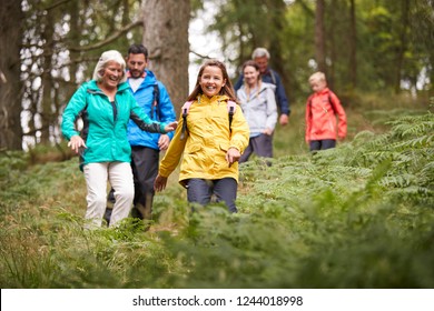 Multi Generation Family Walking Downhill On A Trail In A Forest During A Camping Holiday, Lake District, UK