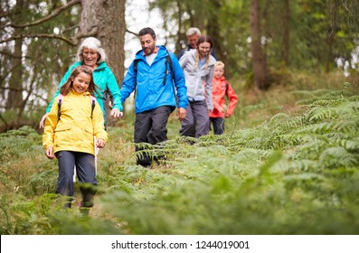 Multi generation family walking in line downhill on a trail in a forest during a camping holiday, Lake District, UK